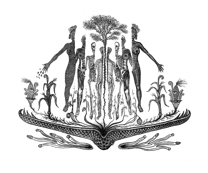 Grabados, Cezylea, Quiote, NumeroUno