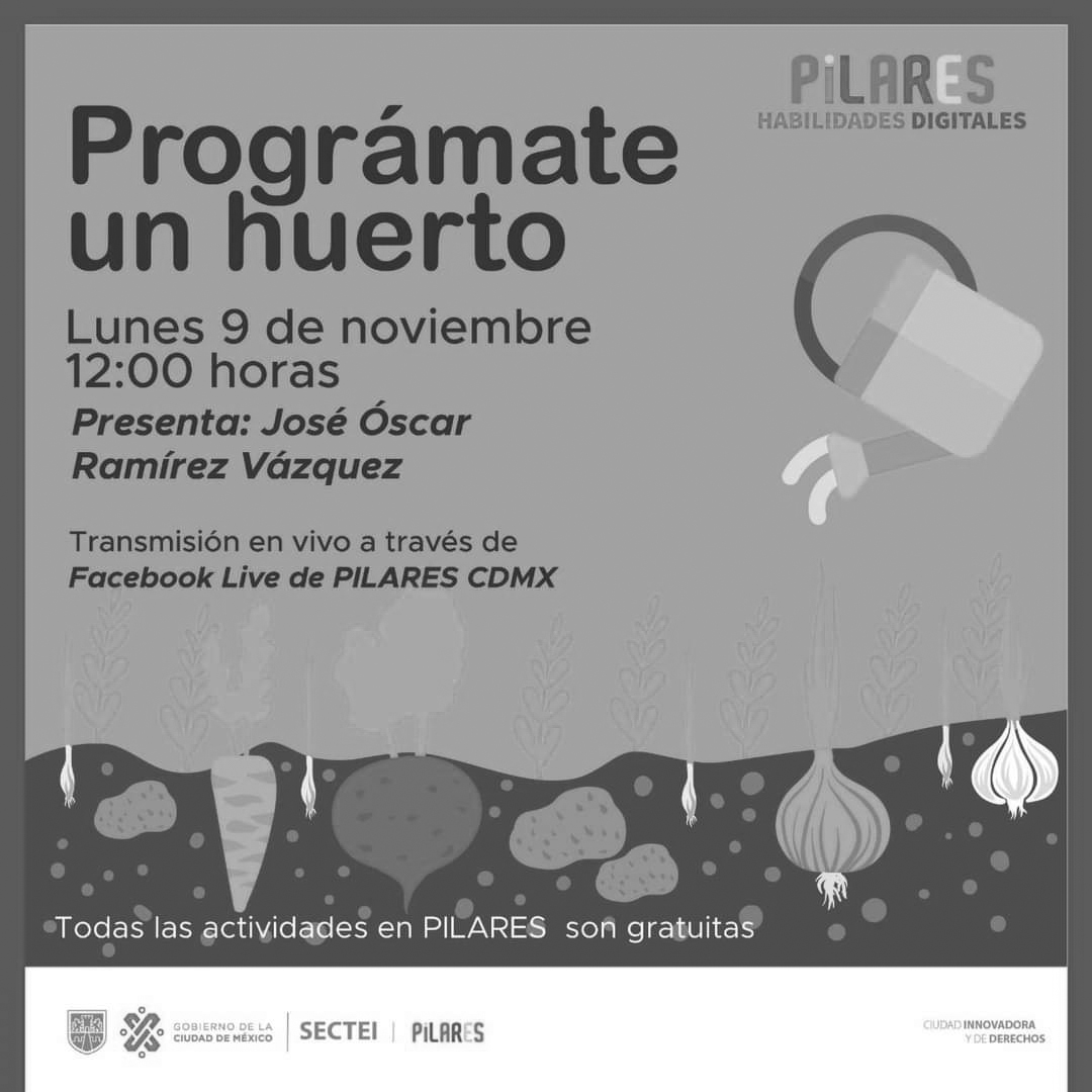 en línea 8