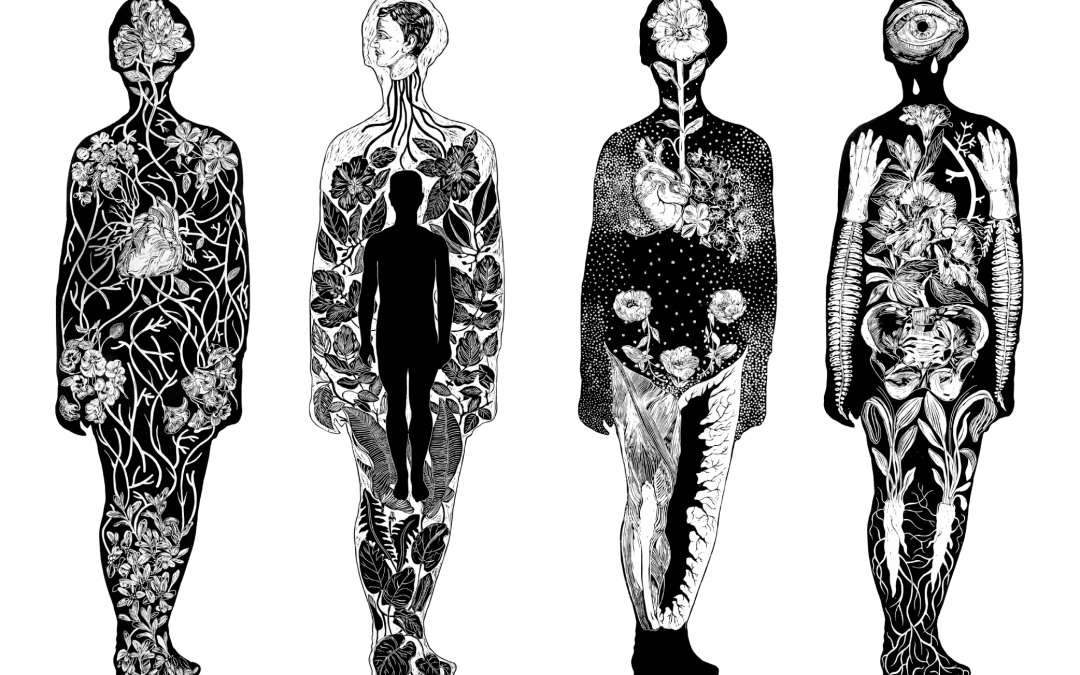 EDITORIAL CUATRO