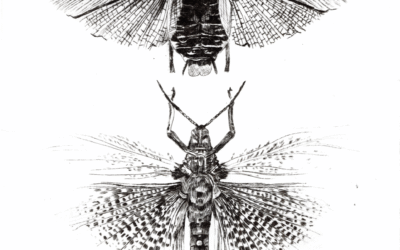 NO GRABAMOS EL HUECO EN EL METAL, PERO SÍ EN LA MEMORIA | Experiencias gráficas desde la universidad