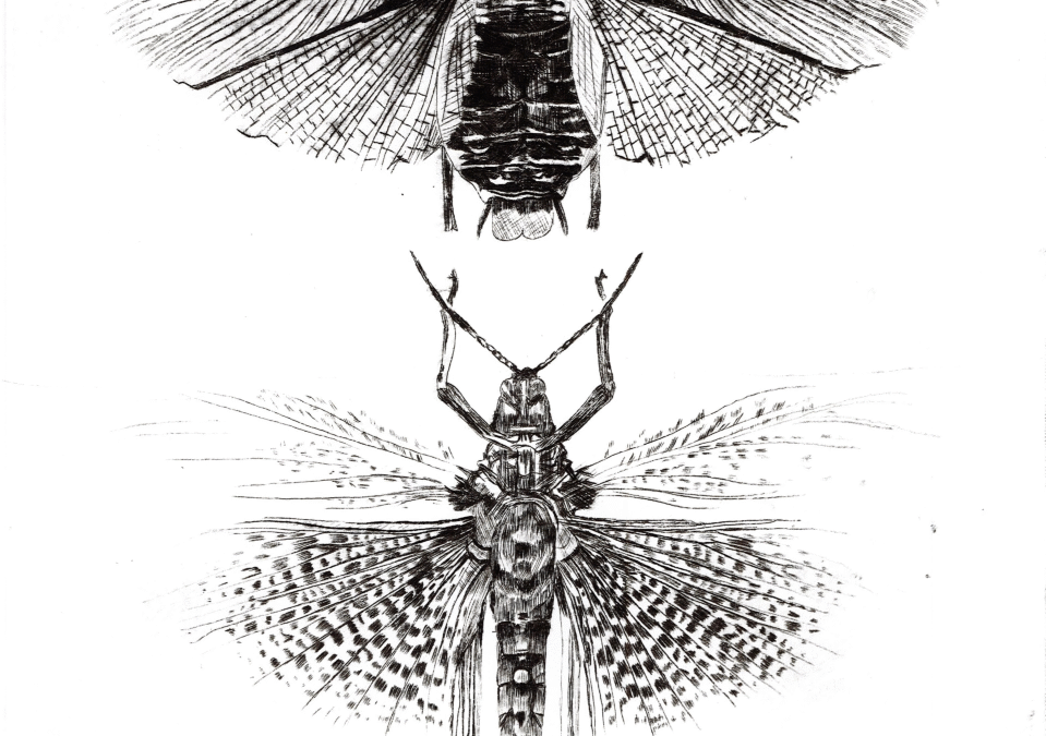 NO GRABAMOS EL HUECO EN EL METAL, PERO SÍ EN LA MEMORIA | Experiencias gráficas desde la universidad