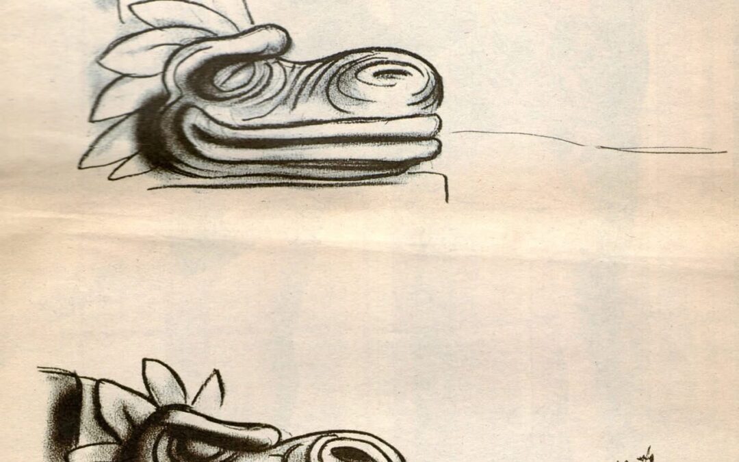 CONTRA EL OLVIDO, DIBUJAR                                                                                                             Pepe Palomo 1943-2026